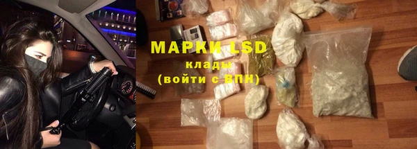 шишки Заволжье