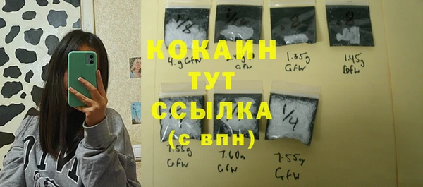 шишки Заволжье