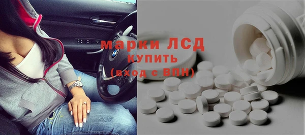 шишки Заволжье