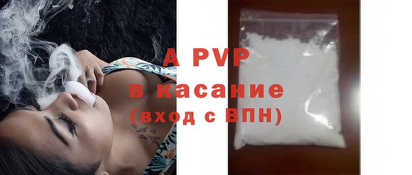 шишки Заволжье