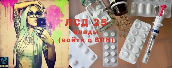 шишки Заволжье