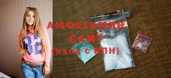 шишки Заволжье