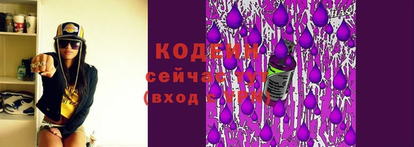 шишки Заволжье