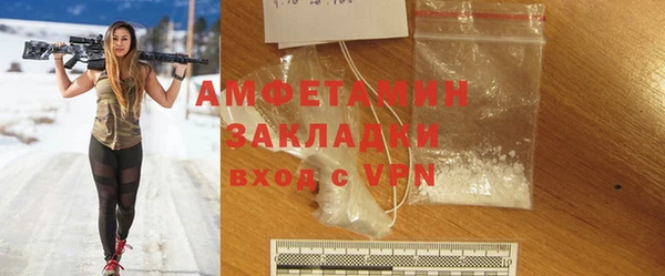 шишки Заволжье