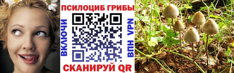 Псилоцибиновые грибы Cubensis  наркотики  blacksprut ссылки  Катав-Ивановск 